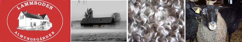 Lada i dimma fotograferad av Elisabeth Strindberg (2007), övriga bilder fotograferade av Kia Viken.