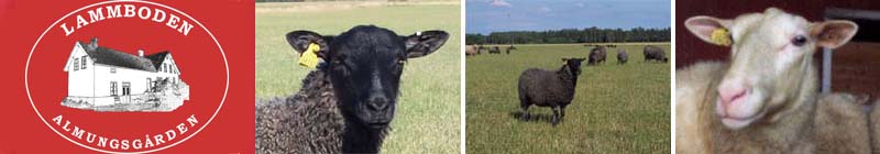 Lammboden Almungsg�rden